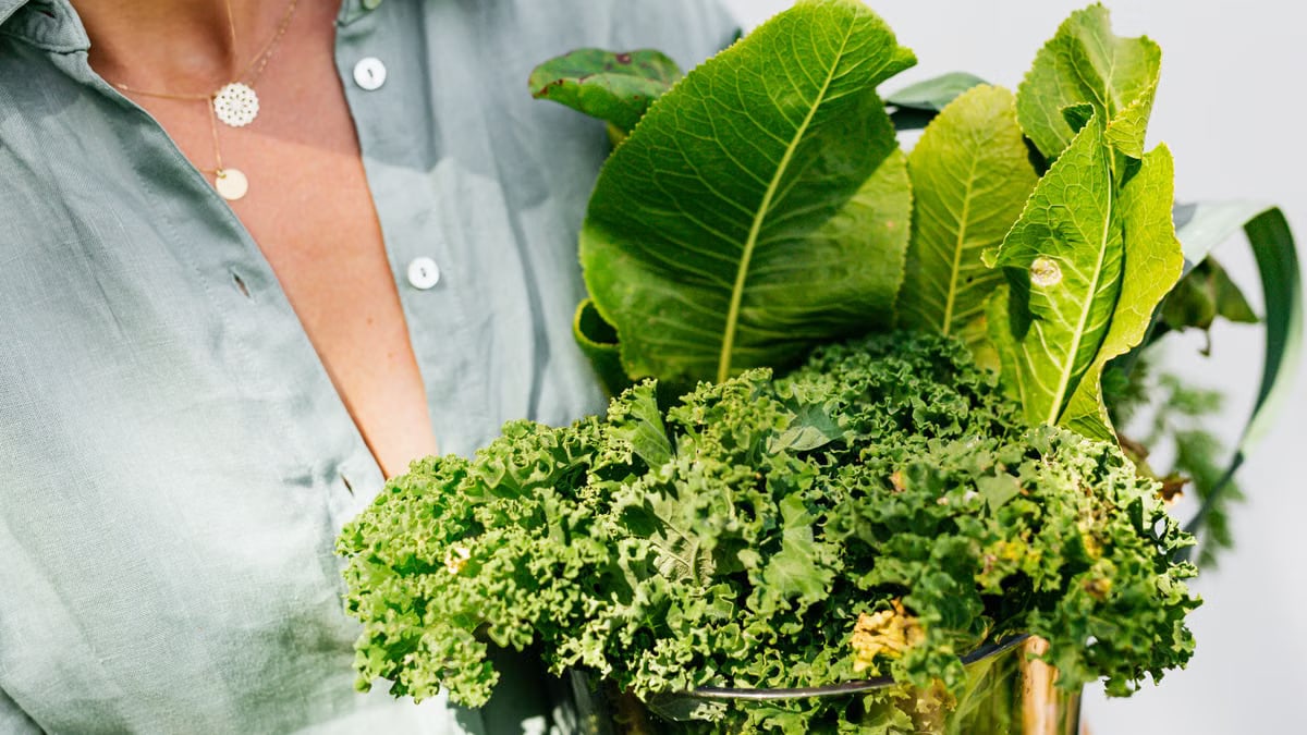 Close-up of fresh curly kale and leafy greens held by woman in green shirt.